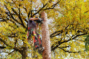 Metabo MS 18 LTX BL 25 (601595850) 18V Brushless Cordless Chain Saw - Body Only product image 2
