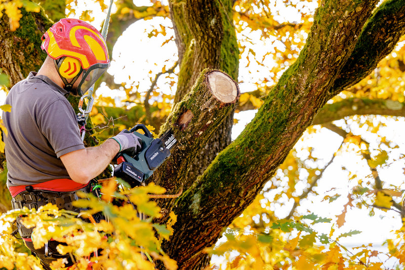 Metabo MS 18 LTX BL 25 (601595850) 18V Brushless Cordless Chain Saw - Body Only product image 6