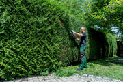 Metabo HS 18 LTX BL 75 (601724850) 18V Brushless Cordless Hedge Trimmer - Body Only product image 6